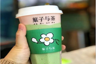 加盟葉子與茶需多少費(fèi)用？冰淇淋加盟機(jī)遇解析